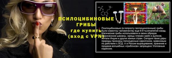 соль ск Бородино