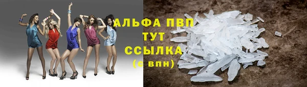 соль ск Бородино