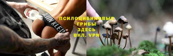 соль ск Бородино