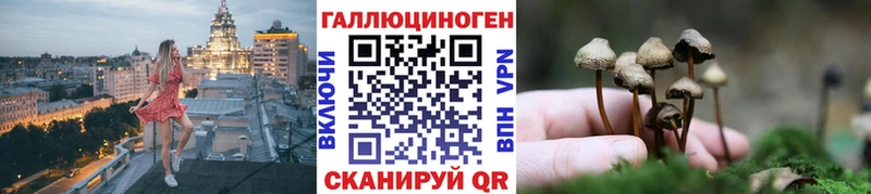 Псилоцибиновые грибы Psilocybe  Купить закладки  Крымск 